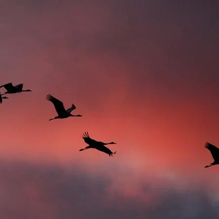 Апартаменты Leni Цингст