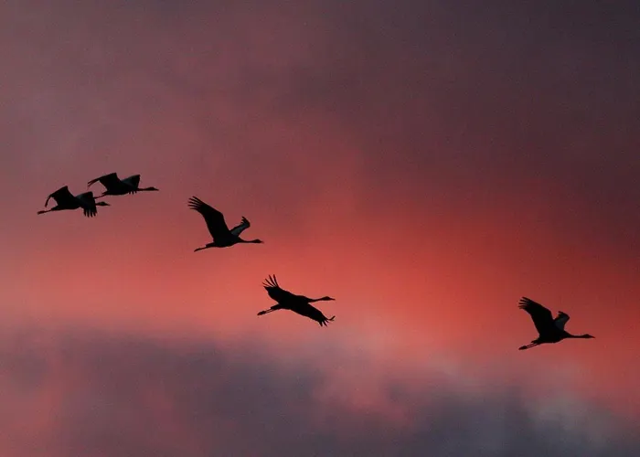 Appartamento Leni Zingst